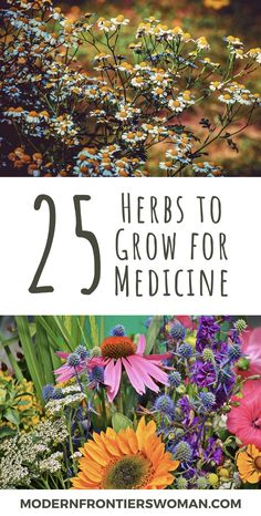 flowers with the title 25 herbs to grow for medicine