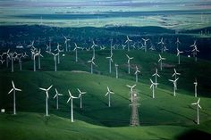 a large group of windmills in the middle of a green field