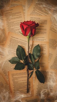 Cool Flower Wallpapers, Dark Flowers Wallpaper Aesthetic, Dark Rose Wallpaper Aesthetic, Victorian Aesthetic Wallpaper Iphone, Roses Ipad Wallpaper, Rose Flower Wallpaper Iphone, Poet Wallpaper Aesthetic, Romantic Phone Wallpaper, Pretty Roses Wallpaper