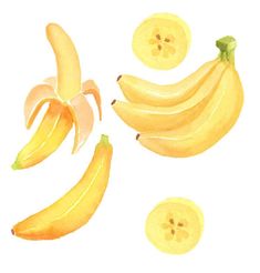 two bananas and three slices of banana on a white background