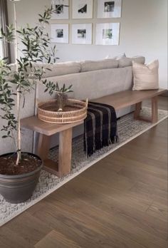 a potted plant sitting on top of a wooden table next to a white couch