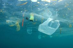 plastic bags floating in the ocean with water around them and trash floating on the bottom