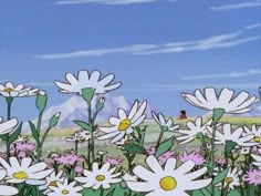 a field full of white and pink flowers under a blue sky with mountains in the background