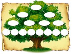 a family tree with blank labels attached to it