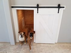 two brown and white dogs standing next to each other in front of a barn door