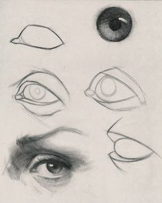 an image of different types of eyes drawn in graphite on paper with pencils