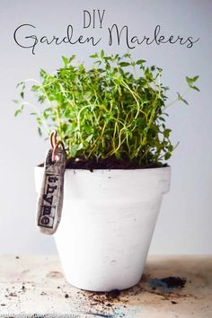 a potted plant with the words diy garden markers on it