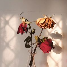 a vase filled with red flowers sitting on top of a wooden table next to a white wall