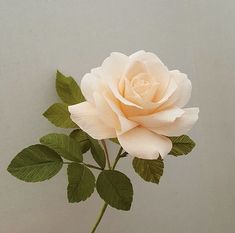 a single pink rose with green leaves in a glass vase on a white wall background