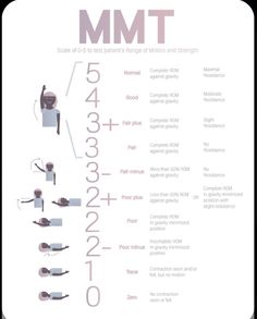 Muscle Chart, Limb Anatomy, Activities Adults, Nbcot Exam, Occupational Therapy Schools, Geriatric Occupational Therapy, Therapy Fun