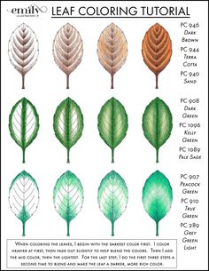 the different types of leaves are shown in this drawing book, which shows how to draw them