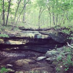 a small waterfall in the middle of a forest