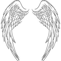 an angel wings outline on a white background