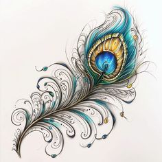 an artistic drawing of a peacock feather