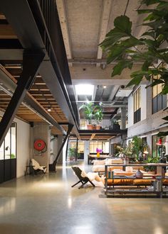 an industrial style living room with high ceilings and large plants in the center, along with modern furniture