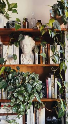 the bookshelf is filled with many different plants