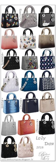 Dior Purse, Luxury Lady, Everyday Handbag, Dior Handbags, Beautiful Handbags, Bag Collection, Cute Purses, Handbag Shoes, Stylish Bag