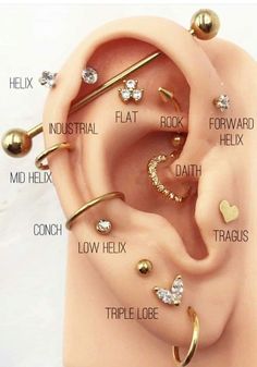 an ear with different types of piercings on it and labeled in the description below