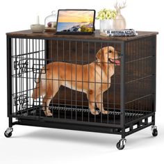 a dog in a cage standing next to a laptop on top of a wooden table