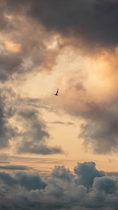 an airplane is flying through the clouds at sunset or sunrise in the sky, with one bird on it's wing