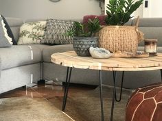 a living room with a couch, table and potted plants on the coffee table