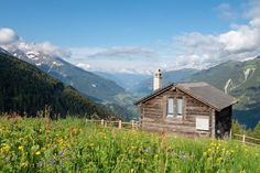 an old cabin in the mountains surrounded by wildflowers