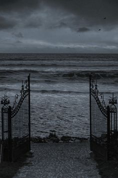 an open gate leading to the ocean at night