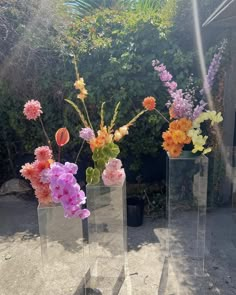 three clear vases filled with colorful flowers on top of a cement ground next to bushes