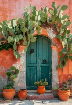 several potted plants in front of a green door