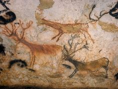 some cave paintings with animals and plants on them