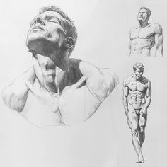 three different views of a man's torso and head