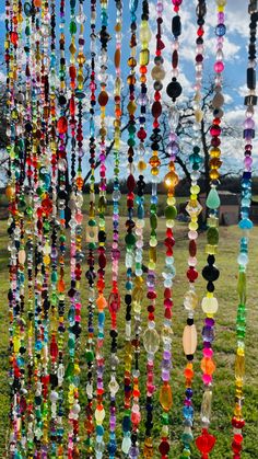 a group of beads hanging from the side of a tree in a field next to a blue sky