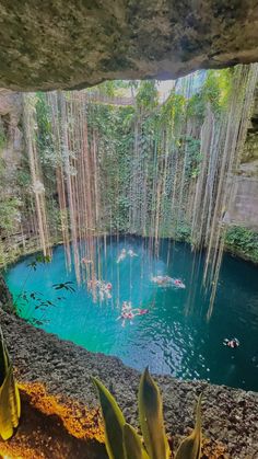 the inside of a cave with blue water and plants growing out of it's sides