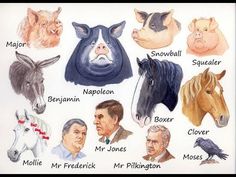 an image of different types of animals and their names