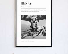 a black and white photo of a dalmatian dog on the wall above a bed