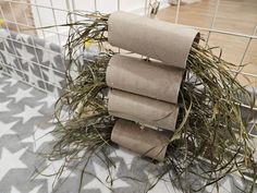 three rolls of toilet paper sitting on top of a bathroom floor next to a bird cage