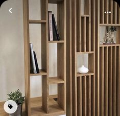 a bookshelf with three shelves and a potted plant on the floor next to it