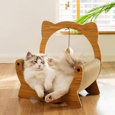 a cat laying on top of a wooden hammock in the middle of a room