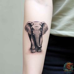 an elephant tattoo on the arm