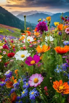 a field full of colorful flowers with mountains in the background