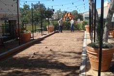 two men are standing in the yard with potted plants and lights strung over them