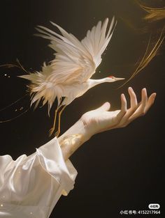 a woman's hand reaching out towards a white bird with long, feathered wings