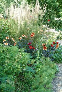 a garden filled with lots of different types of flowers