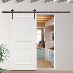 an open door leading to a kitchen with blue cabinets and potted plant in the corner