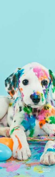 a puppy covered in colorful paint laying on top of a table next to a toy