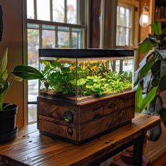 an indoor garden in a wooden box on top of a table next to a window