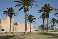 palm trees in front of an old building