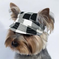 a small dog wearing a black and white checkered newsboy hat on top of it's head