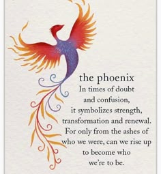 a colorful bird with the words, the phoenix in times of doubt and confusion