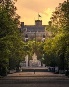 a person walking down a path in front of a building with trees on both sides